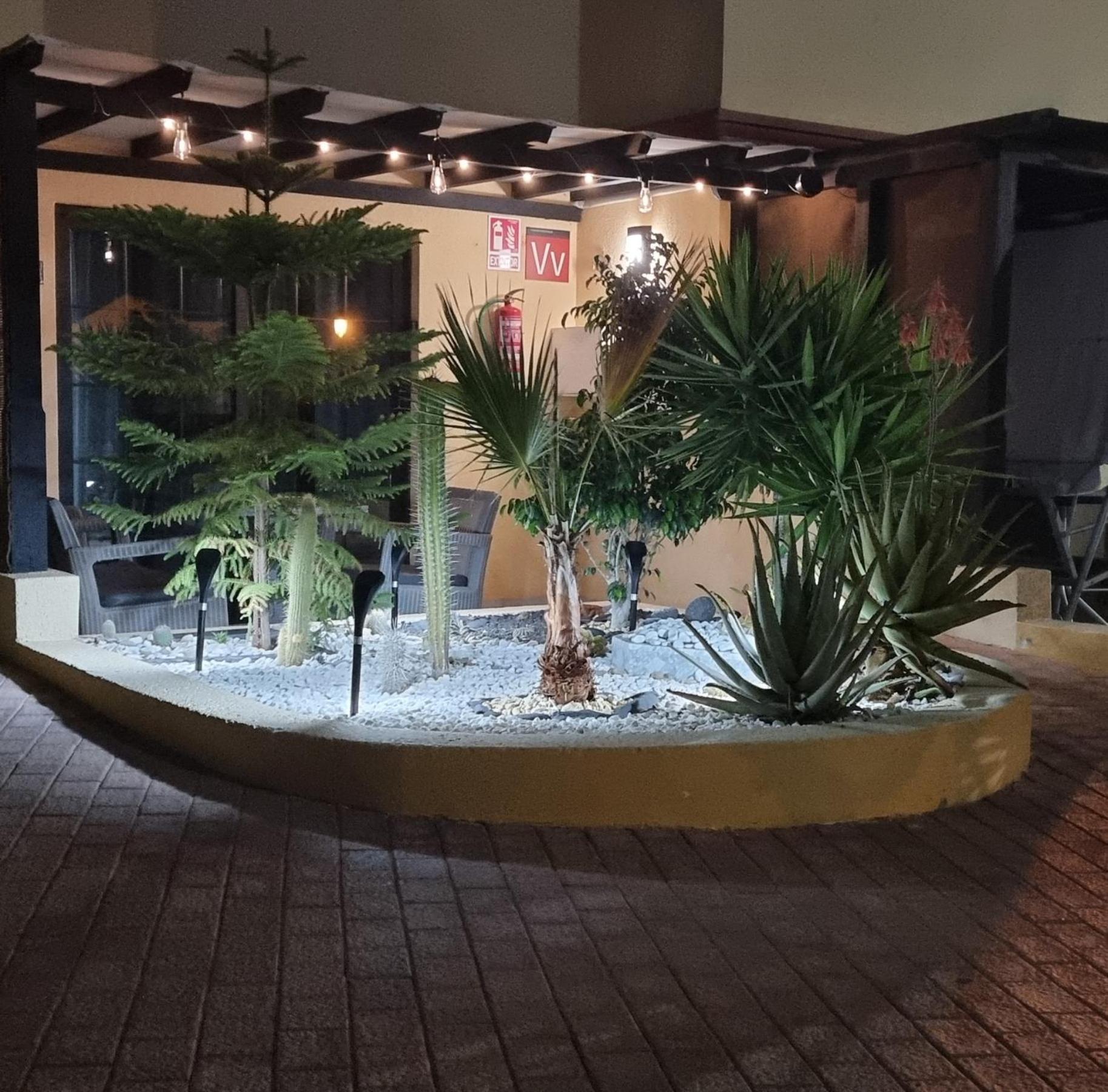 Hato Holiday Home Fuerteventura Costa Calma Zewnętrze zdjęcie