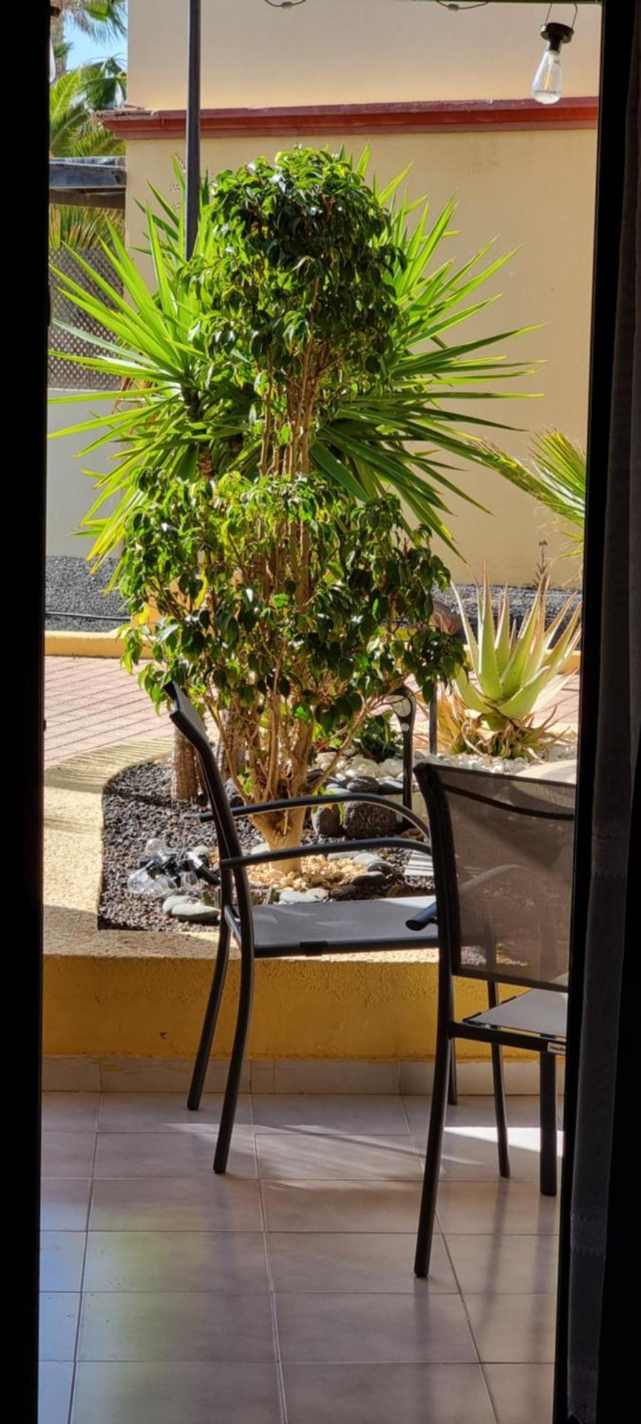 Hato Holiday Home Fuerteventura Costa Calma Zewnętrze zdjęcie